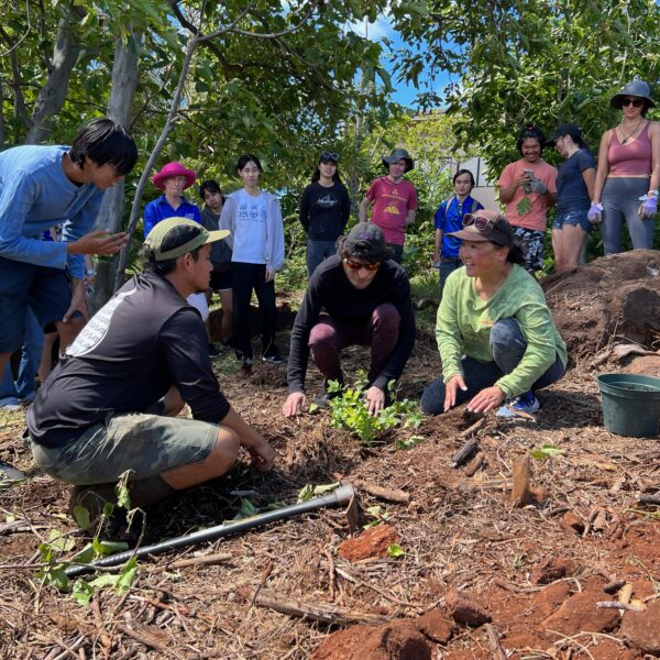 Chancellor Takabayashi, Kohlby Soong and student plant a tree while others look on