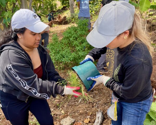 Two students hold a potted plant