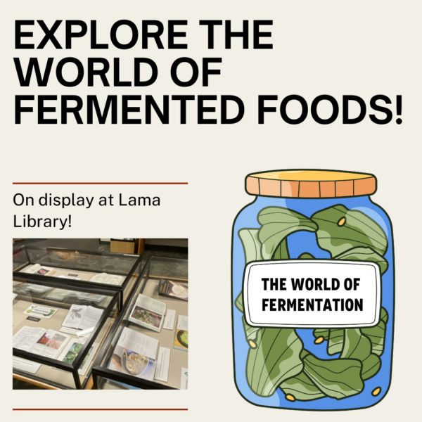 Explore the World of Fermented Foods. On display at Lama Library. Graphic image of jar of fermented food and preview of book display on flyer.