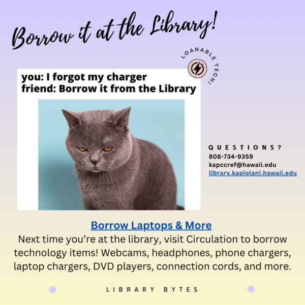 Sad looking grey cat, text says you: I forgot my charger and friend: borrow it from the library.